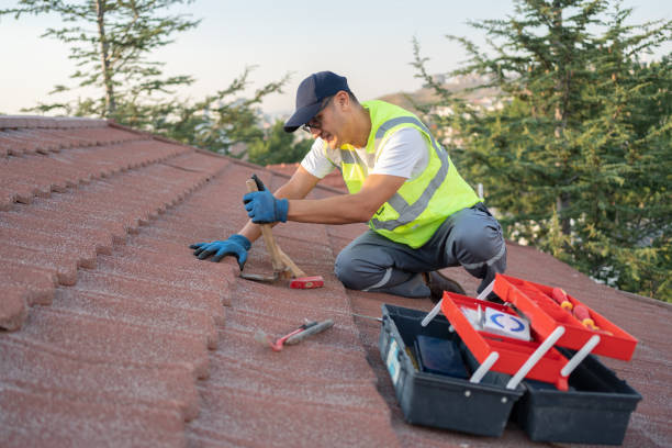Best Metal Roofing Contractor  in Long Beach, MS